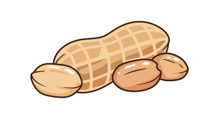 A simple cartoon illustration of a peanut and its individual kernels