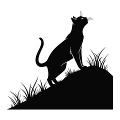 black silhouette of a cat on a hill © Lovely