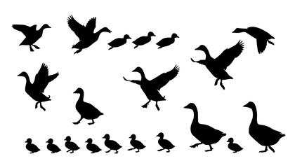 Fototapeta premium Silhouette ducks and geese with ducklings, bird vector set, flying and standing poses, nature illustration, waterfowl family clipart, animal wildlife design, farm birds collection