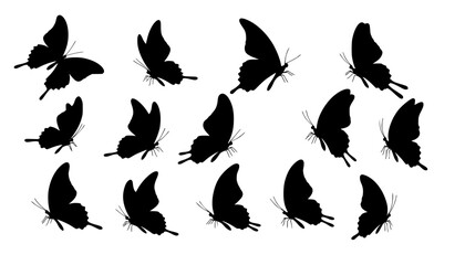 Obraz premium A clean vector set of butterfly butterfly silhouettes in various poses on a clean white background vector style 