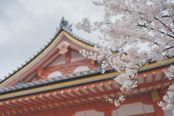 Japanese temple roof with detailed architecture surrounded by cherry blossoms, symbol of heritage, tradition, spring beauty and tourism in Kyoto, blending cultural design and nature.