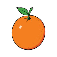 orange fruit vector illustration