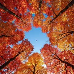 A beautiful autumn scene with trees in full bloom and a clear blue sky