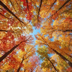A tree with many leaves is shown in the air