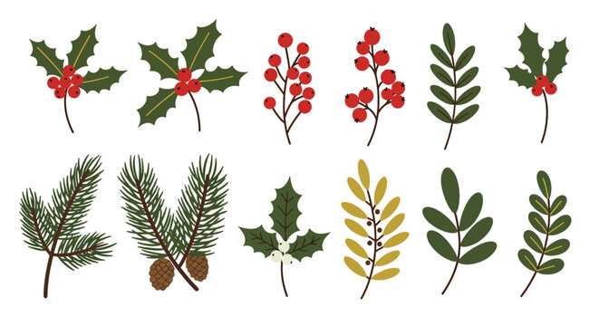 Collection of Festive Christmas Botanical Elements and Sprigs.