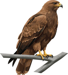 Majestic brown eagle perched on tree branch, detailed bird of prey illustration, perfect for wildlife, nature, and educational designs.