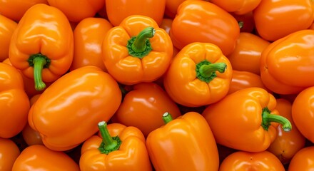 Close-up photo scotch bonnet peppers. Wallpape, Yellow and orange caribbean chili peppers with green stems. Variety of capsicum fruits. Fresh vegetables at market.
