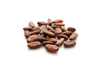 Fresh cacao beans on white background