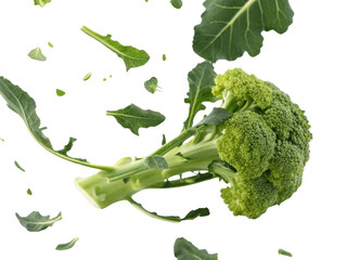 Fresh broccoli with vibrant green florets and leaves, captured in mid air, showcasing its natural beauty and freshness