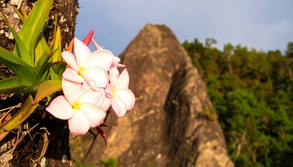 Floral mountain view (1)