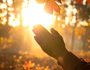 Hands reaching for autumn sunlight in a forest