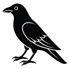 raven bird silhouette vector illustration