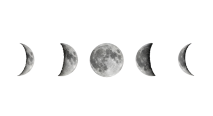 Precisely ordered sequence of moon phases: new, waxing, full, waning, old crescent. Each sphere isolated with detailed craters/textures, set against pure deep black, concept of celestial mechanics