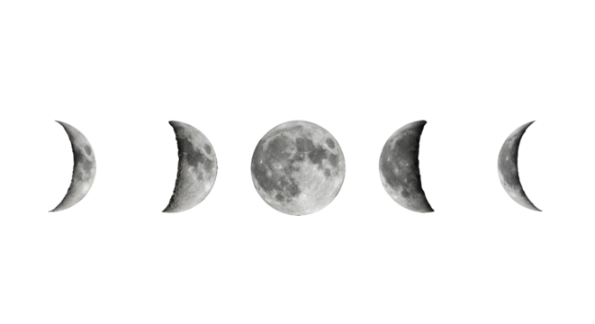 Precisely ordered sequence of moon phases: new, waxing, full, waning, old crescent. Each sphere isolated with detailed craters/textures, set against pure deep black, concept of celestial mechanics