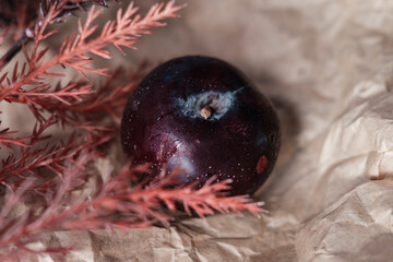 one organic fresh ripe plum, seasonal fruit in rustic style