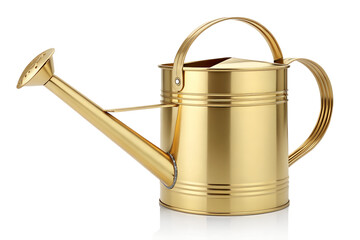 Luxury Gold Metallic Watering Can for Garden or Home Decor, Isolated