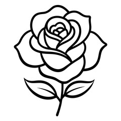 christmas rose flower line art on white background