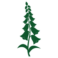 foxglove flower line art on white background © fatema tuj zohora