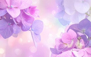 Fototapeta premium やわらかな光に包まれた紫陽花の幻想的なクローズアップ
