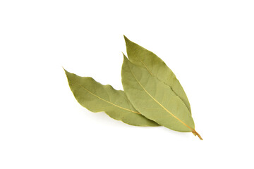 Dried natural bay leaves closed up in group isolated on white
