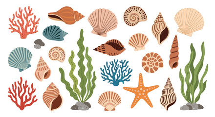 Obraz premium A collection of colorful seashells seaweed coral and starfish in a beautiful underwater scene.
