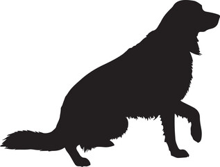 Silhouette of dog,dog walking silhouette,sitting dog