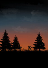 Drawing the evening sky