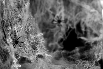 Halloween composition with spider on black grunge background