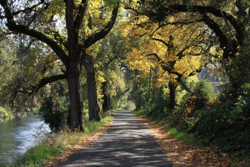 Greenway Walk. Urban River Walk with Autumn Trees in Nature Park