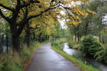 Fototapeta premium Greenway Walk. Urban River Walk with Trees and Nature in Autumn Landscape