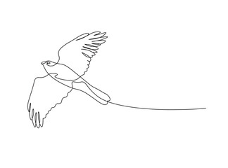 freedom line art of a bird. Lineart vector illustration..eps