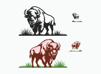American Buffalo Vector – Bison Wildlife Animal Illustration, Set of Wild Animal Vectors , Jungle and Wildlife Illustration Pack