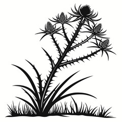 euphorbia vector