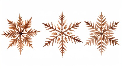 Three watercolor snowflakes, brown hues, on a white background