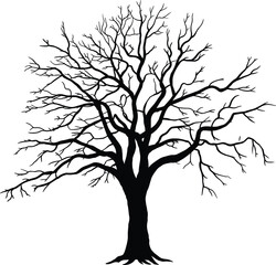 Obraz premium Silhouette of a Bare Tree in Winter branches