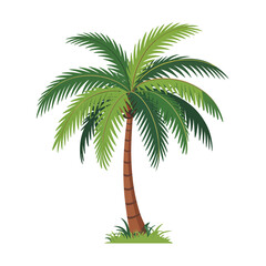 Vibrant green palm tree isolated on a clean white background representing tropical destinations