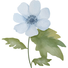 Elegant watercolor illustration of a delicate blue flower with green leaves, hand painted in a soft and natural style. Perfect for floral designs, invitations, greeting cards, wall art.