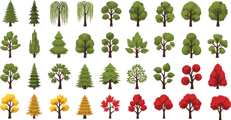 Seasonal tree illustration grid showing foliage diversity, botanical forms, autumn colors, conifer and deciduous types, nature design and educational concept.