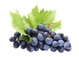 Bunch of grapes isolated