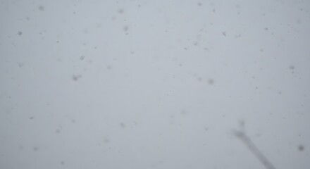 Snowflakes falling over white background