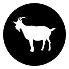 Eid Al Adha Animal Icon