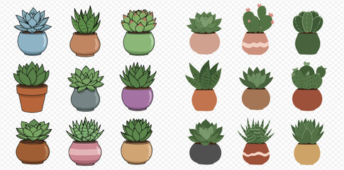 A collection of eighteen cartoon succulent and cactus plants in colorful pots, isolated on a transparent background.