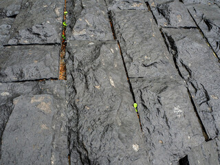 A sidewalk made of hewn stones of a rectangular shape. Abstract stone background. Copy space.