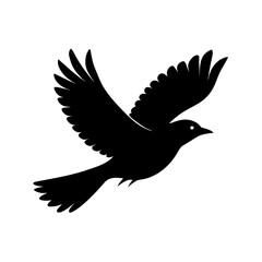 Bird Flying – Graceful Flight in Nature