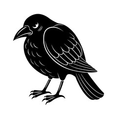 Bird Preening Silhouette | Grooming Vector Illustration