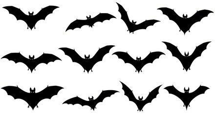 Bat silhouettes on white background