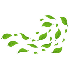 Flying Leaves Illustration