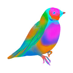 Vibrant and colorful bird illustration on a white background.
