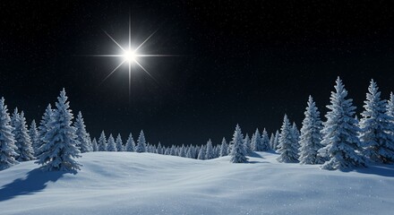 Christmas card with winter night landscape, fir forest and bright star of Bethlehem shining in the sky	
