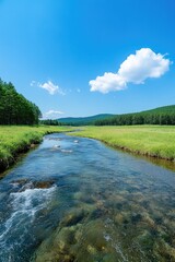 Obraz premium Serene stream flows through vibrant green meadow